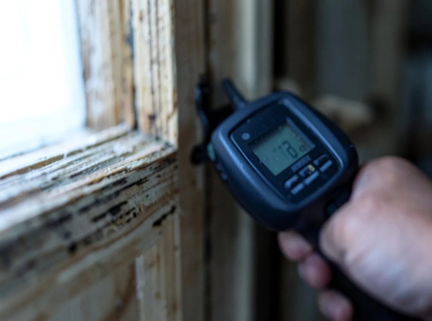 Moisture Inspection And Documentation in Roan Mountain, TN